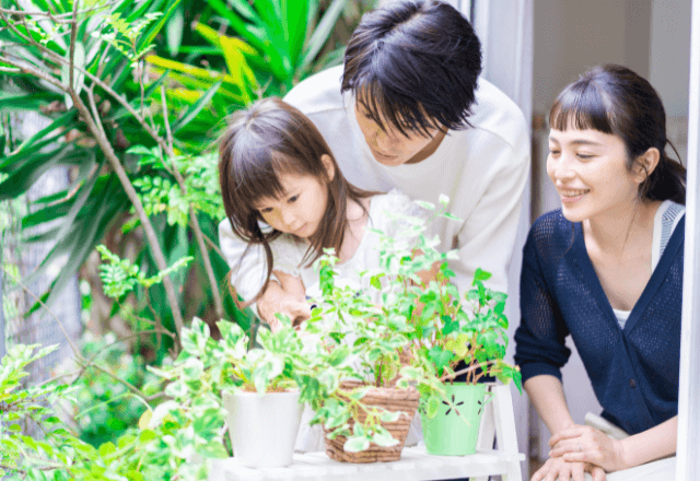 家庭菜園で子どもに食育を！楽しいコツで飽きさせない秘訣
