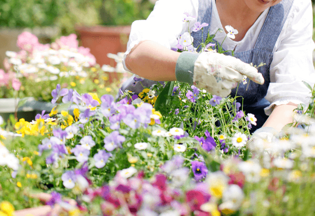 丁寧に育てた花が”誰か”にひっこ抜かれて…私「なんでこんなこと…」夫「そこ…」⇒続く夫の一言で衝撃の事実を知り―！？
