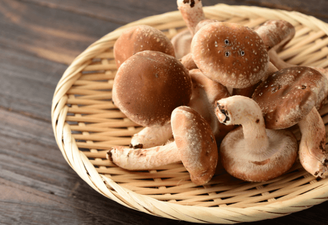 栄養たっぷり！離乳食にも使える「しいたけ」の魅力と選び方【管理栄養士監修】