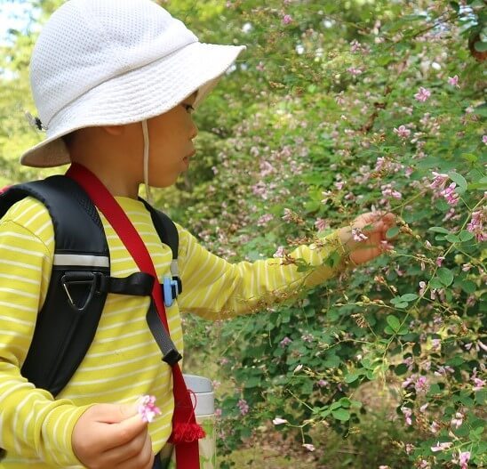 「大きくなりたい」そう願う子どもらに必要なのは、変化と多様性の環境～自然の中のおやこさんぽのすすめ～