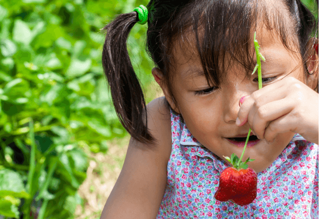 自宅の庭で…育てたイチゴを盗み食いする子ども。注意した瞬間⇒母親の“信じられない行動”に戦慄…