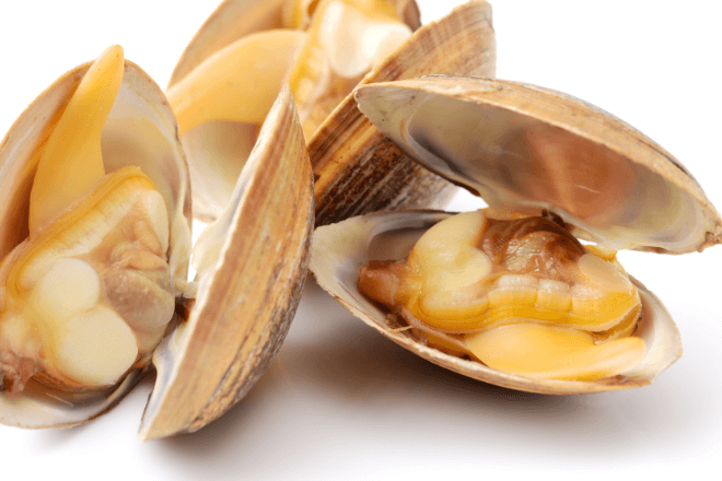 あさりは何歳から食べられる？与えるときの注意点