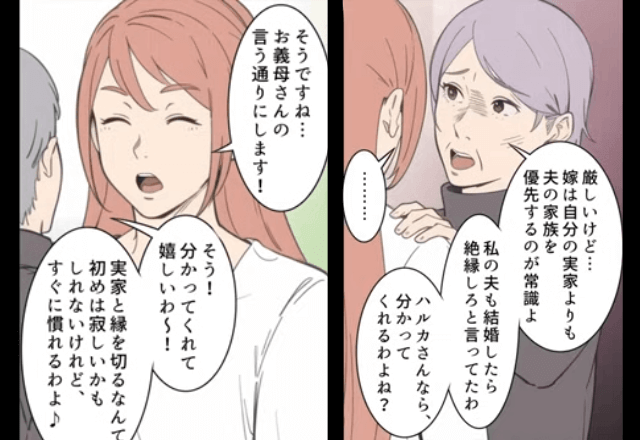 帰省する直前…義母「実家とは縁を切りなさい？嫁は夫の家族を優先するの」嫁「はーい」⇒無視をした結果