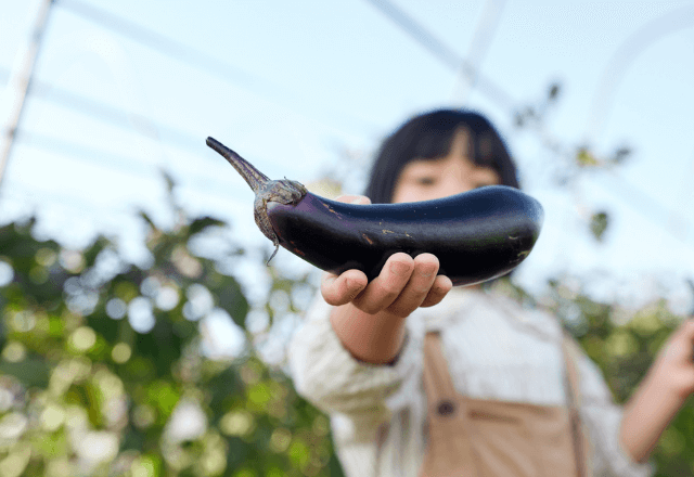 初夏から秋にかけてが旬！おやこで食べたいナスの栄養素