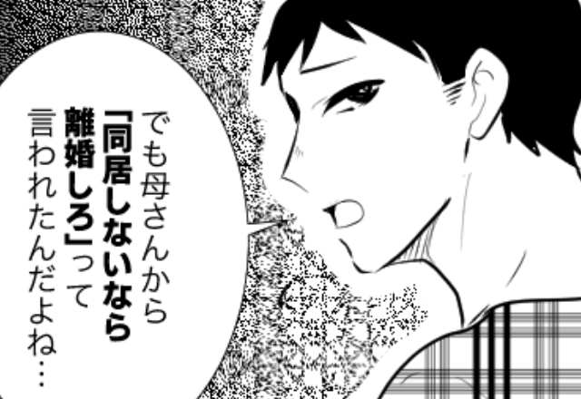 マザコン夫「同居しないなら離婚しろって。どうする?」というので離婚した結果⇒勘違いしていた義母からSOS!?