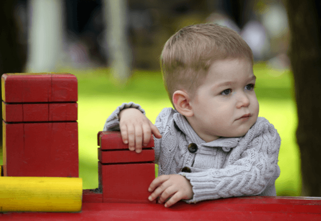 2歳の発達を促す木のおもちゃ4選！集中力とコミュニケーションを育む