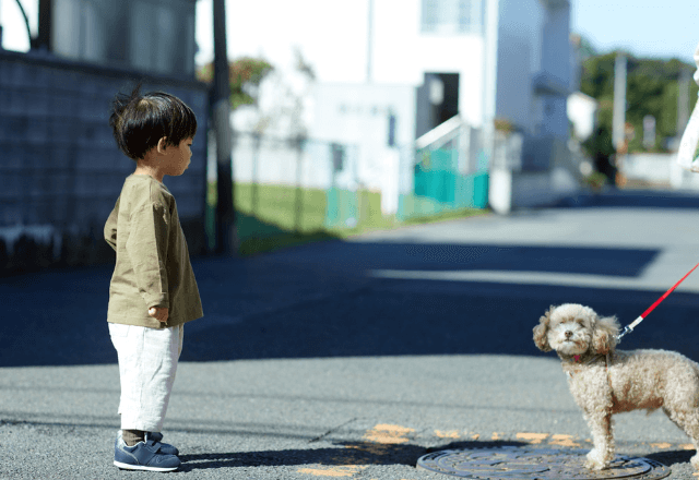 「耳を離して！」愛犬の耳を握る見知らぬ子どもを注意した直後⇒現れた母親の“耳を疑う一言”に「は？」