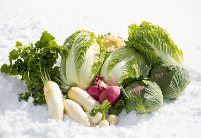 冬野菜の特徴と幼児食におすすめの冬野菜