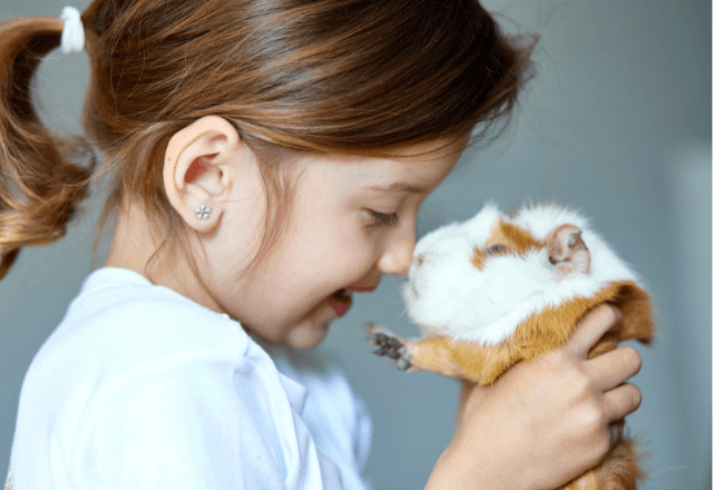 子どもと育てるモルモット生活〜安心して始める飼育のコツ〜