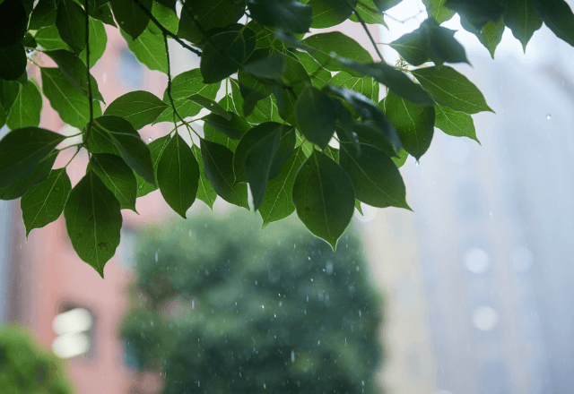 おうち時間が増える時期！おやこで読みたい梅雨におすすめの絵本5選