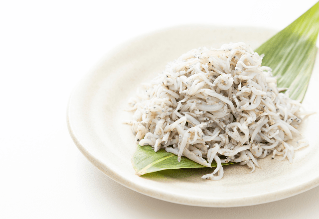 春と秋が旬！子どもの成長に役立つしらすの栄養について