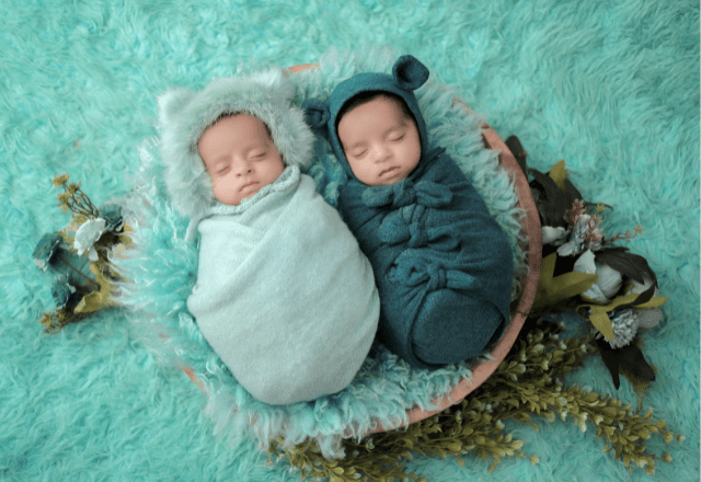 お食い初めの歯固め石｜意味と入手方法