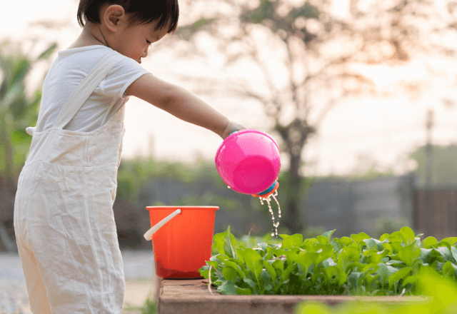 【管理栄養士監修】おやこで楽しむ家庭菜園！初心者でも育てやすい野菜4選