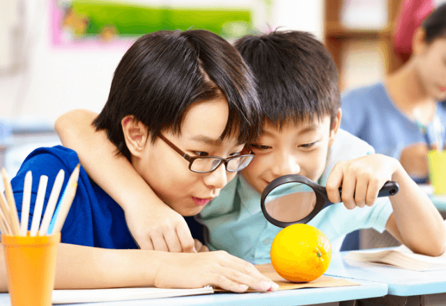 夏休みの自由研究アイディア～先生が推薦する楽しい3つのプロジェクト～