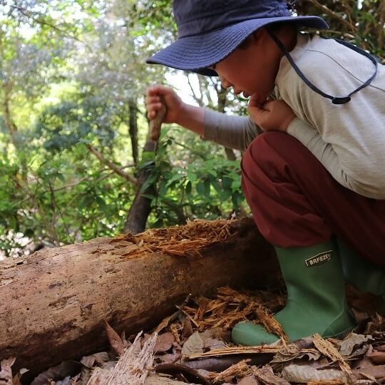 好きなことをとことん極められる子は何が違う？どの子にもある「好きの芽」を伸ばすために親ができること