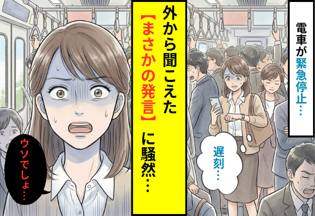 電車が急停止…『線路内立ち入りです』数十分後⇒外から聞こえた【まさかの発言】に車内騒然…