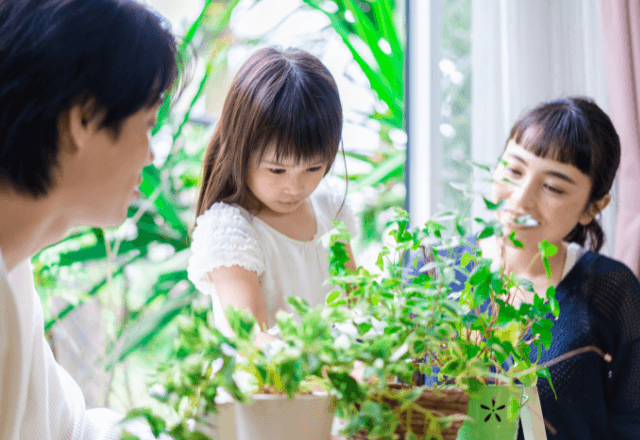 身近な自然に触れよう！園や家庭で手軽にできる野菜づくり