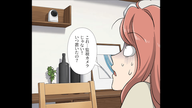 監視カメラで妻を見張るモラハラ夫の末路＃3