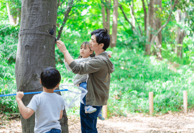 子どもの好奇心を育む！安全・楽しい昆虫採集の準備とマナー