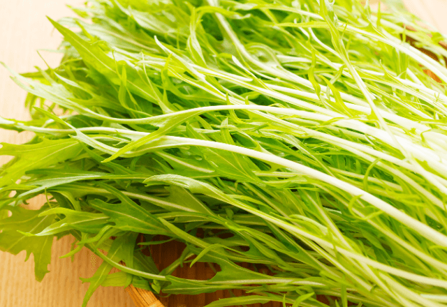 「繊維」が多くて食べにくい？赤ちゃんの水菜は離乳食後期から！誤嚥を防ぐ調理のコツ【管理栄養士監修】