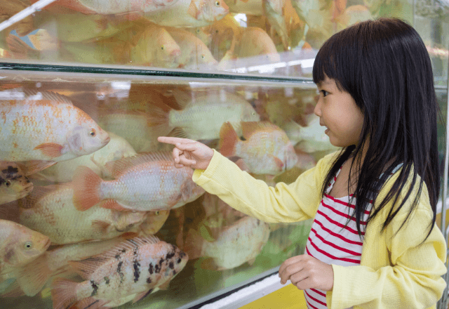 【みんなは知ってる？】「なんで魚は水中でしか息できないの？」3歳児の素朴な疑問に隠された驚きの理由とは…！？
