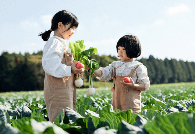 いっしょに育てる！5月の季節の植物と絵本