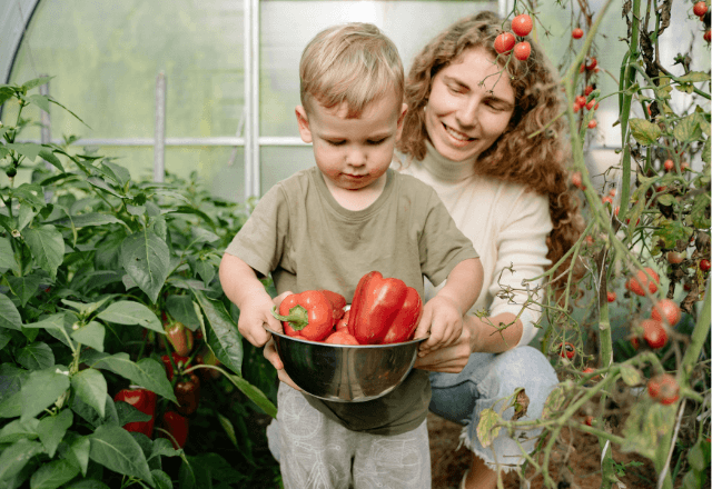 おやこで収穫体験！食育に役立つ育てやすい野菜ランキング13選