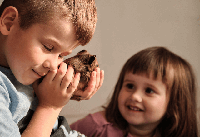 モルモットを家族に！おやこで知りたい育て方と準備のコツ