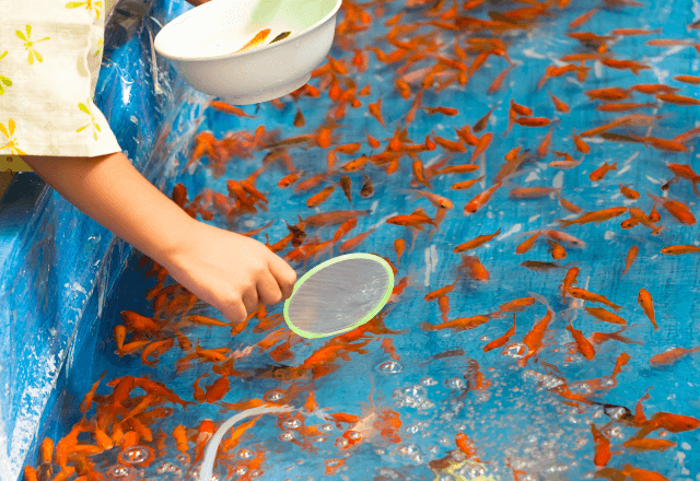 子ども「りんご飴ください」店員「はいよ」手渡した直後⇒子どもが金魚すくいに頭を突っ込んで―！？