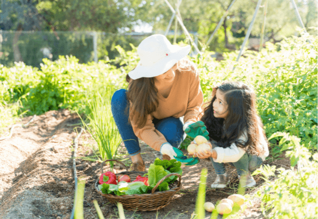 子どもと楽しむ！家庭菜園で育む食育のコツとおすすめ野菜