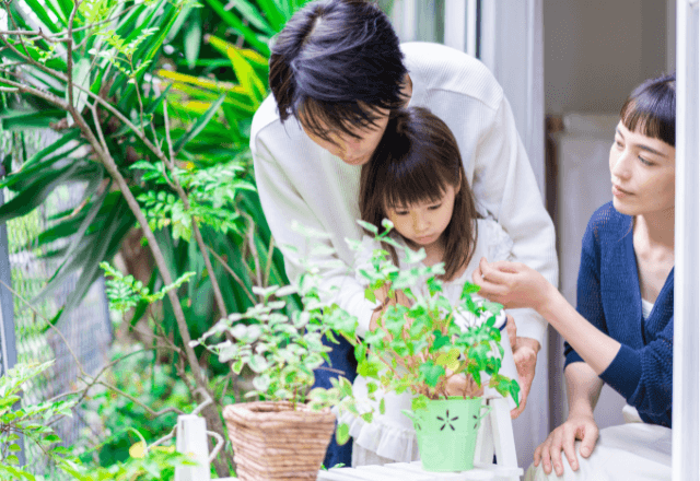 子どもと楽しむ家庭菜園：プランターで育てる野菜入門