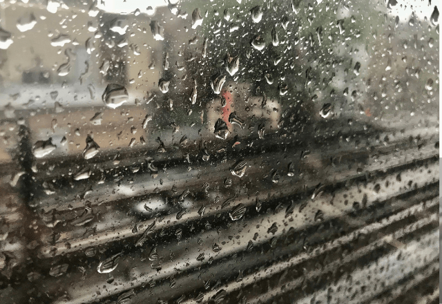 電車で…落雷に怯えるおばあちゃんに寄り添う家族。だが降車時⇒「あの人達って…」乗客が驚いた真実とは…