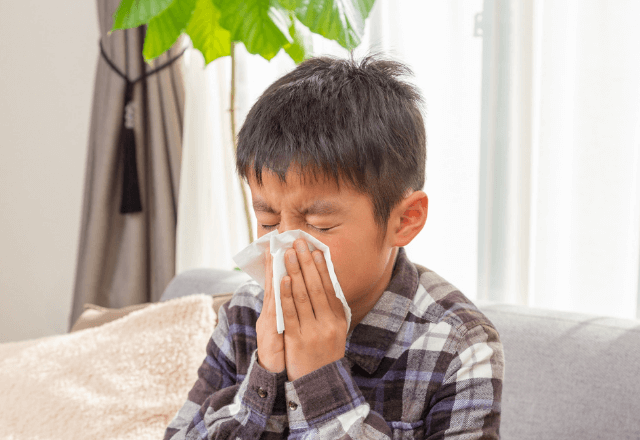 風邪予防の最強トリオ！「ビタミンエース」ってなに？免疫力を支える3つの力【管理栄養士監修】