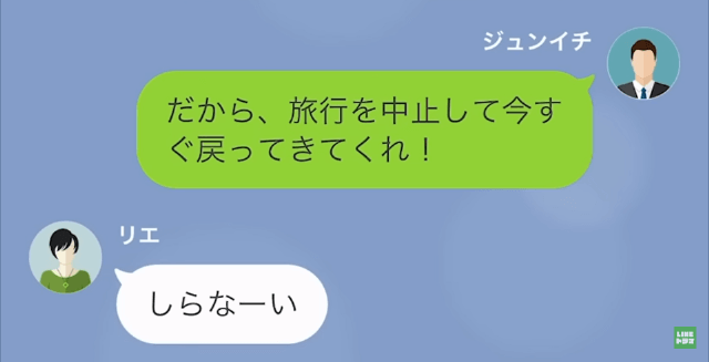 【LINE】突然旅行してくるという妻→旅行中に両親が事故に遭ったと伝えたが…＃11