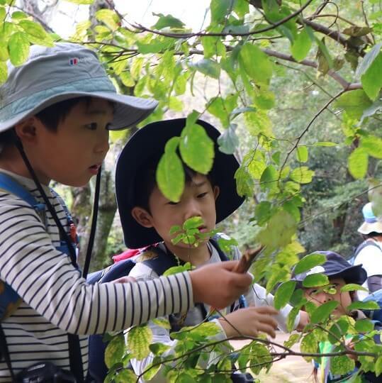 【知的好奇心の強い子の育て方】子どもの前で大人は"何でも知っている"必要なし！一緒に「なんで？なんで？」を楽しんで