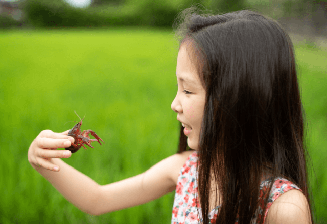 手軽に楽しめる！子どもと挑戦するザリガニ釣りの道具とコツ