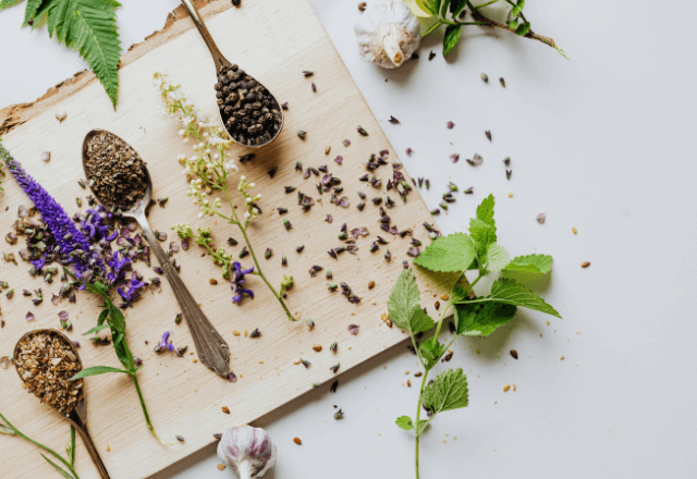 ベランダで食育デビュー！おやこで楽しむ「ハーブ栽培」のすすめ