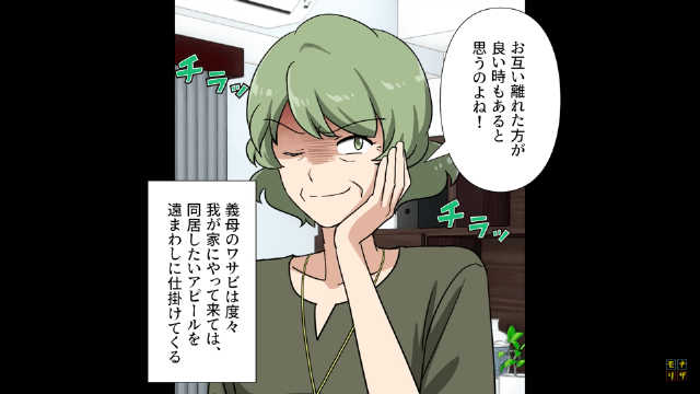同居をたくらむ嫁イビリ義母を撃退した話＃1