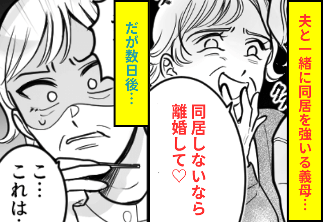 義母「同居しないなら離婚して♡」私「はーい」しかし後日⇒"ある真実"を知った義母が顔面蒼白…！？