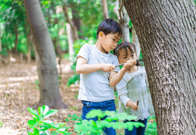夏休みは自然が先生！虫・花・星空をおやこで楽しむ観察アイディア