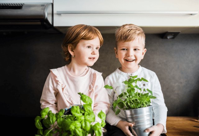 おやこで楽しむ食育！子どもと一緒に育てやすいハーブ3選