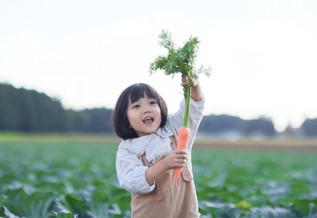 子どものニンジン嫌いを解決！苦手を克服する魔法のレシピ