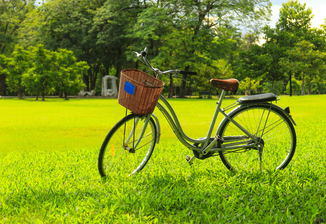 公園で…「ガシャン！」転倒した女性を助けた小学生の私。後日⇒学校で待っていた【最高のサプライズ】に感動…