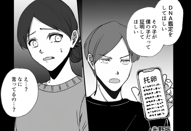出産直後…夫「全然似てないな、DNA鑑定してくれ」妻「…え？」托卵を疑われた数日後⇒夫「やっぱいいわ（笑）」に困惑…