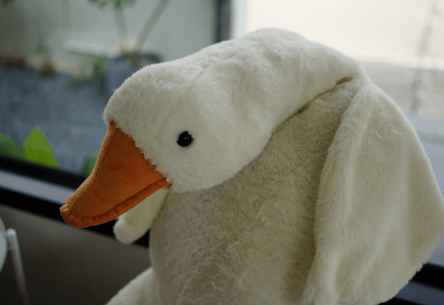 私「娘のぬいぐるみを落としてしまい…」係員「届いてます」受け取った直後⇒「嘘…」涙が止まらなかったワケ…