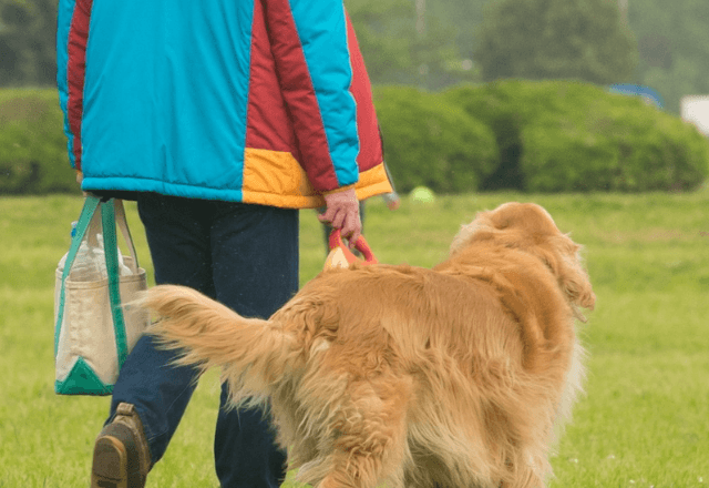 陣痛中の妻より犬優先の夫「陣痛って大げさだな、風邪だろ（笑）」と犬の散歩へ⇒後日、娘と犬を連れて”家を出て行った”結果