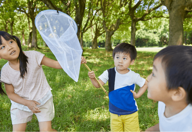 子どもの知的好奇心を育む！楽しい虫取りの道具選びと場所探しのコツ