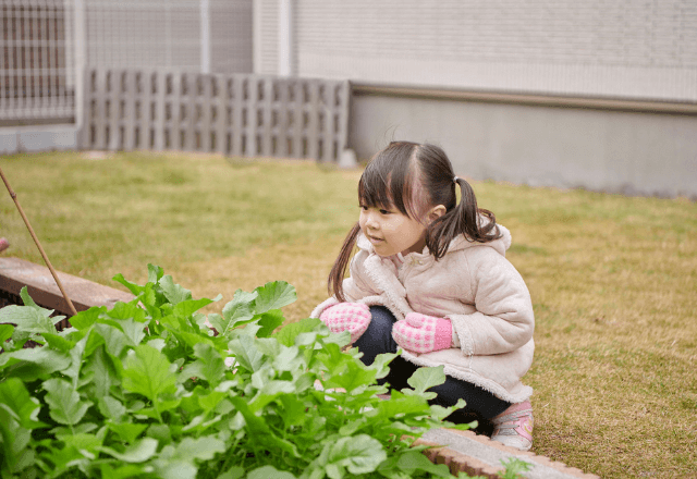 子どもの食育におすすめ！保育園や自宅でできる簡単な野菜栽培のアイデア