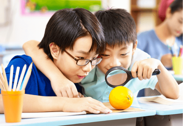 小学校1年生向け！おもしろ自由研究アイデア