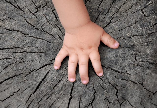子どもを育む自然の恵み、木育の世界：心と体を豊かに